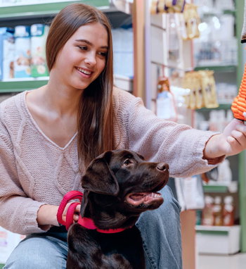 Pet supplies & care eCommerce platform Pet supplies & care eCommerce platform